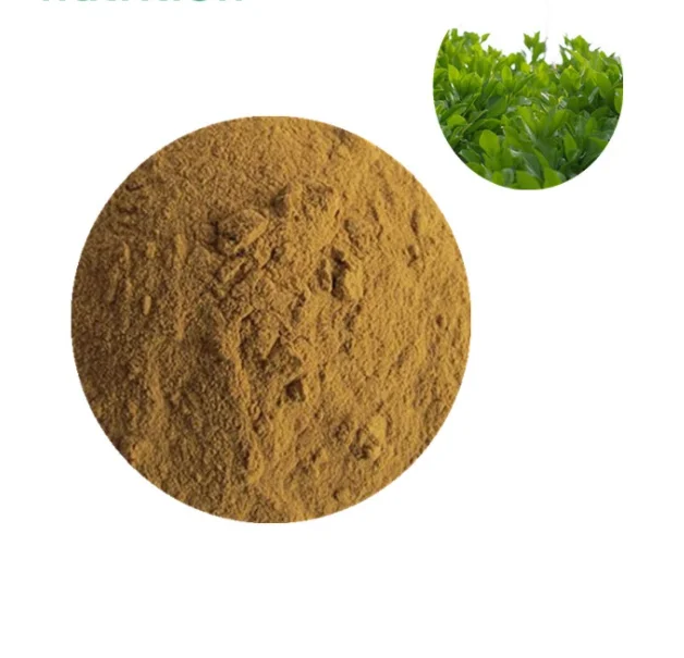Natural Vegetarian Yerba Mate Extract