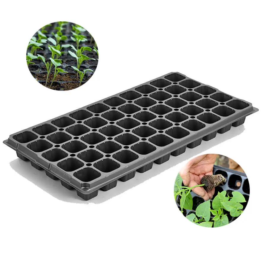 Factory Supply Durable Use 32 50 72 128 168 200 288 Plastic Cell Tray