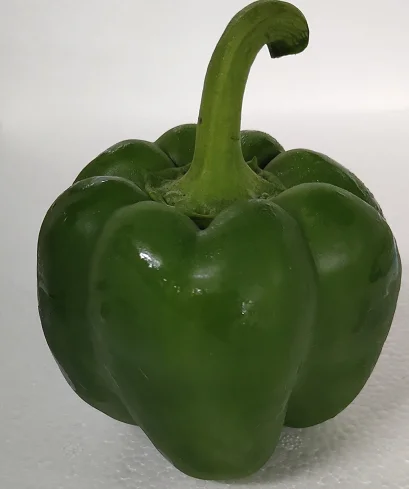 
China Fresh Green PepperWith Lower Price 