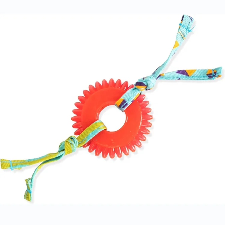 Popular Kitten Toy Pet Supplies Dental Kitty Chew Wheel Catnip Cat Toy For Interactive Playing