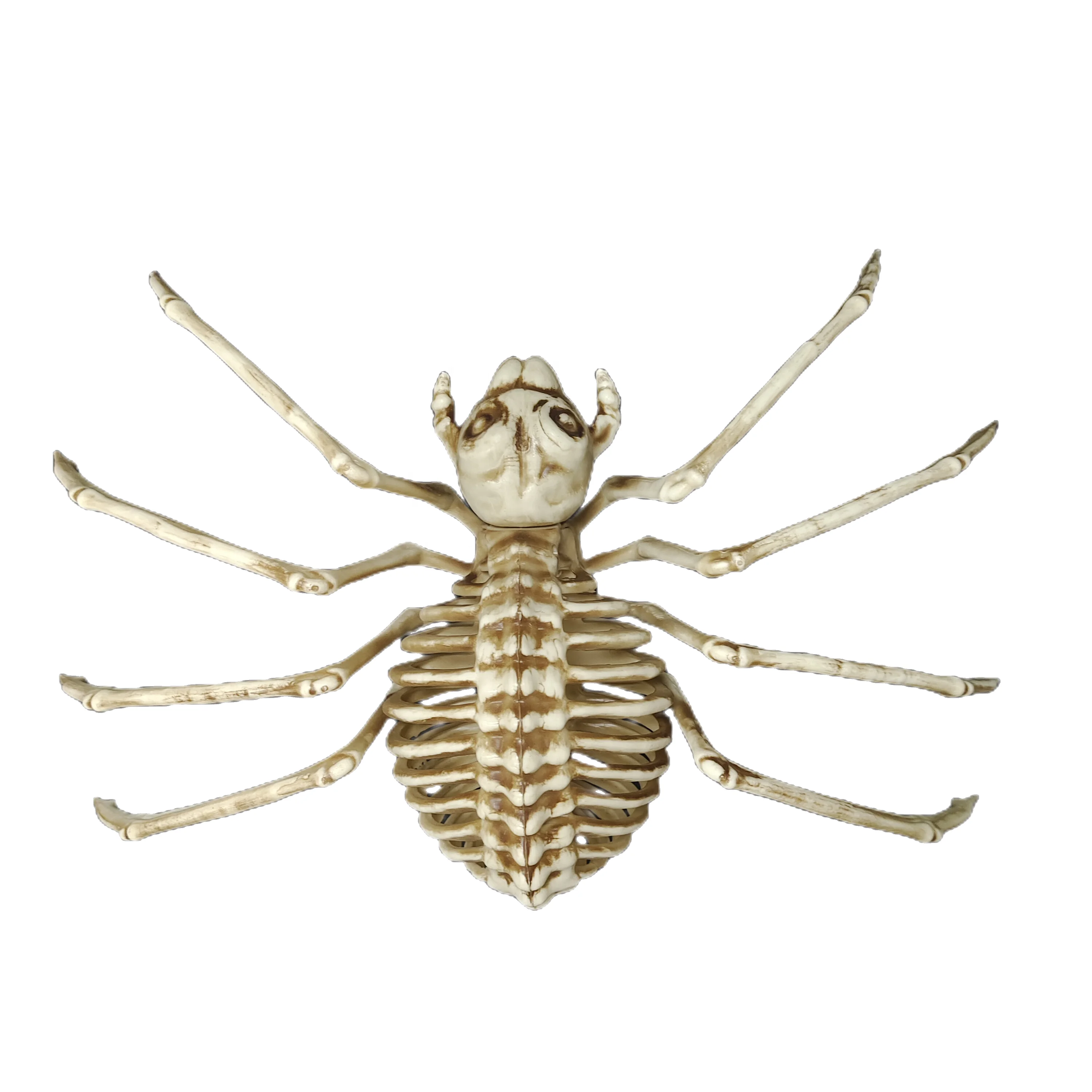 Animal Skeleton Halloween Props Simulation Spider Skeleton Halloween Horror Plastic Skeleton Spider
