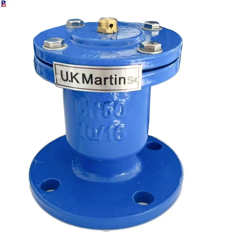 China supplier Certificated lowest price 1.0-1.6Bar  ductile iron body DN100 DN200 DN300 flange type air vent valve