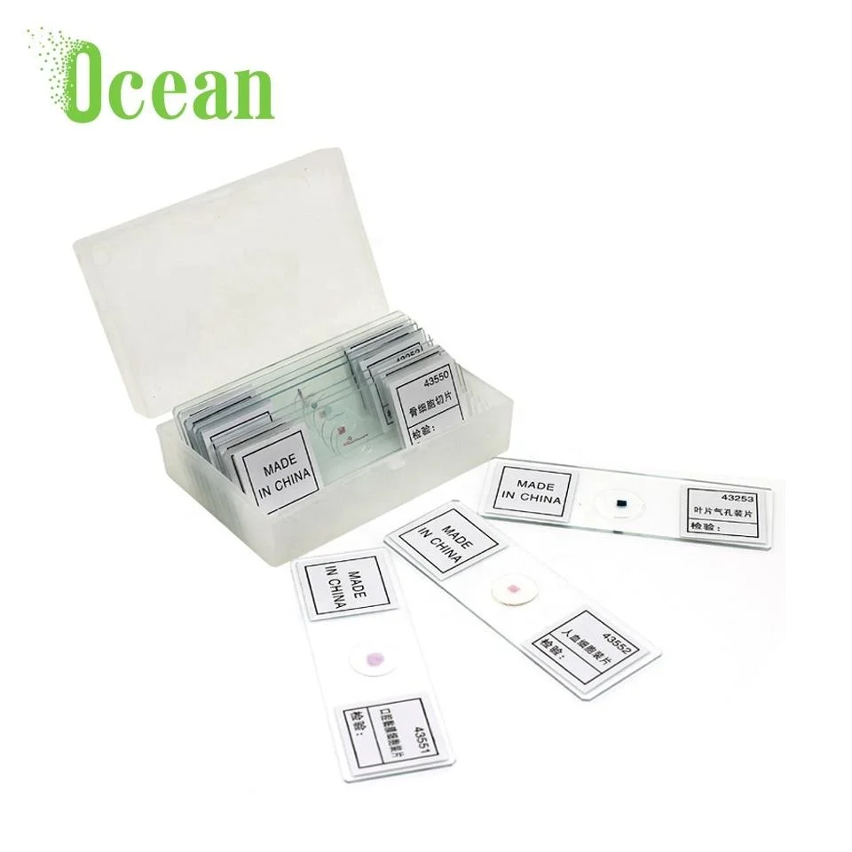 Mix three types of Bacteria prepared microscope slide