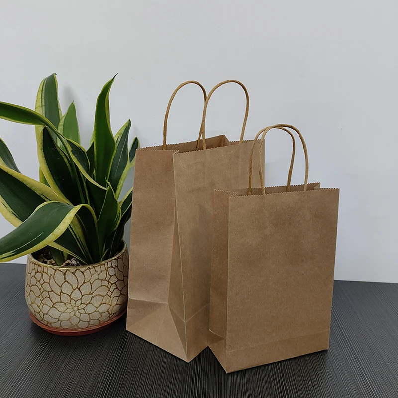 Disposable Kraft Paper Bag S M L Recycled Shopping Bag with Twisted Handle for Sale