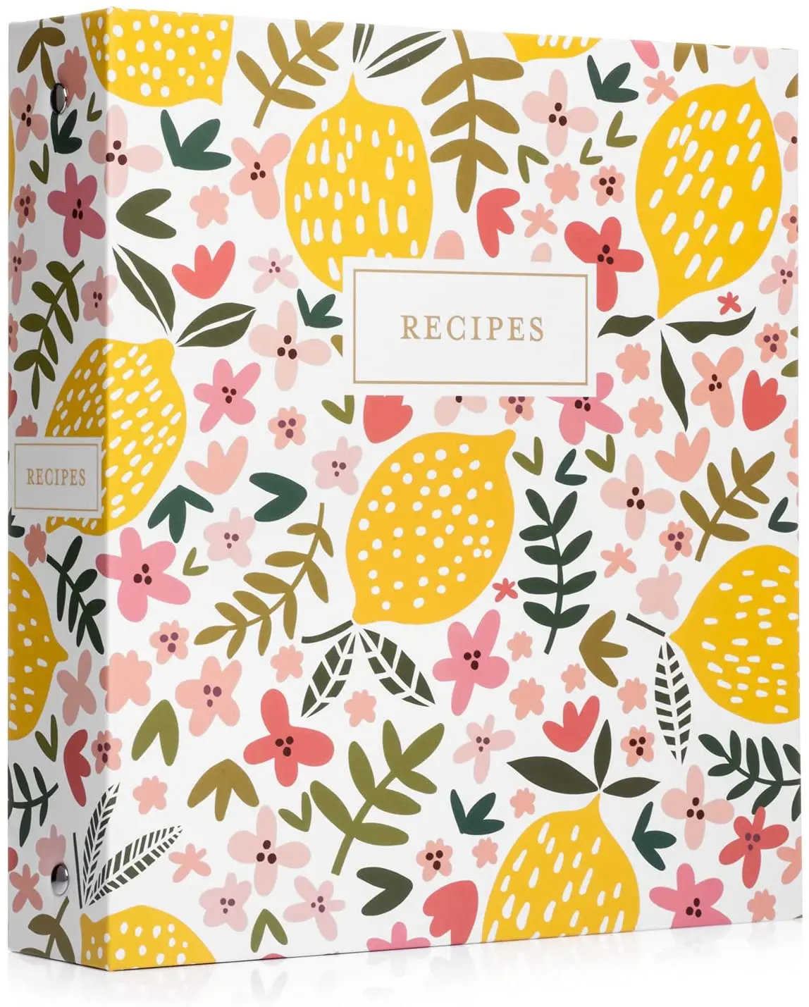 Recipe storage book 3-ring binder set (summer citrus) 50 recipe cards 4x6, full page separation and plastic page protective film