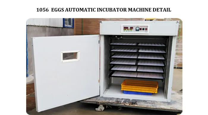 Small Farm Chicken Thermometer Hygrometer Poultry Small Egg Incubator Price Incubadoraor 1056 Eggs