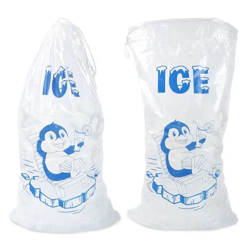 Pp Disposable Drawstring Bolsas Para Hielo En Mayoreo Cooler Freezer Bags For Ice Pop Food Cube Packaging Printing Plastic