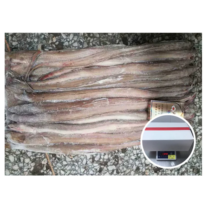 Новинка, рыба в виде замороженного конгера, щуки, угоря, 300-400 г