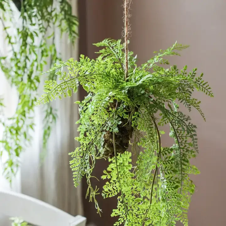 Simulation ferns plants in the air hanging ball hanging decoration green plants window decoration