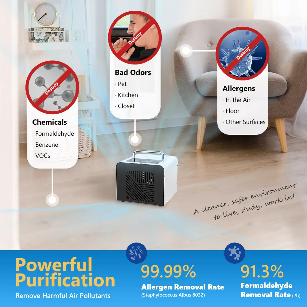 OEM Custom 220V 110V 20g 10g 5g / h  Portable Air Ozone Generator for Home Hotel Office Car