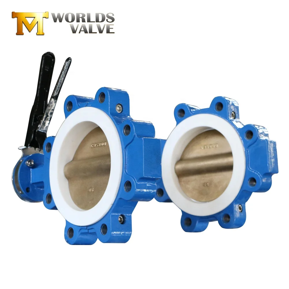 1 inch 4 inch 6 inch 10 inch cast iron worm gear lug butterfly valve