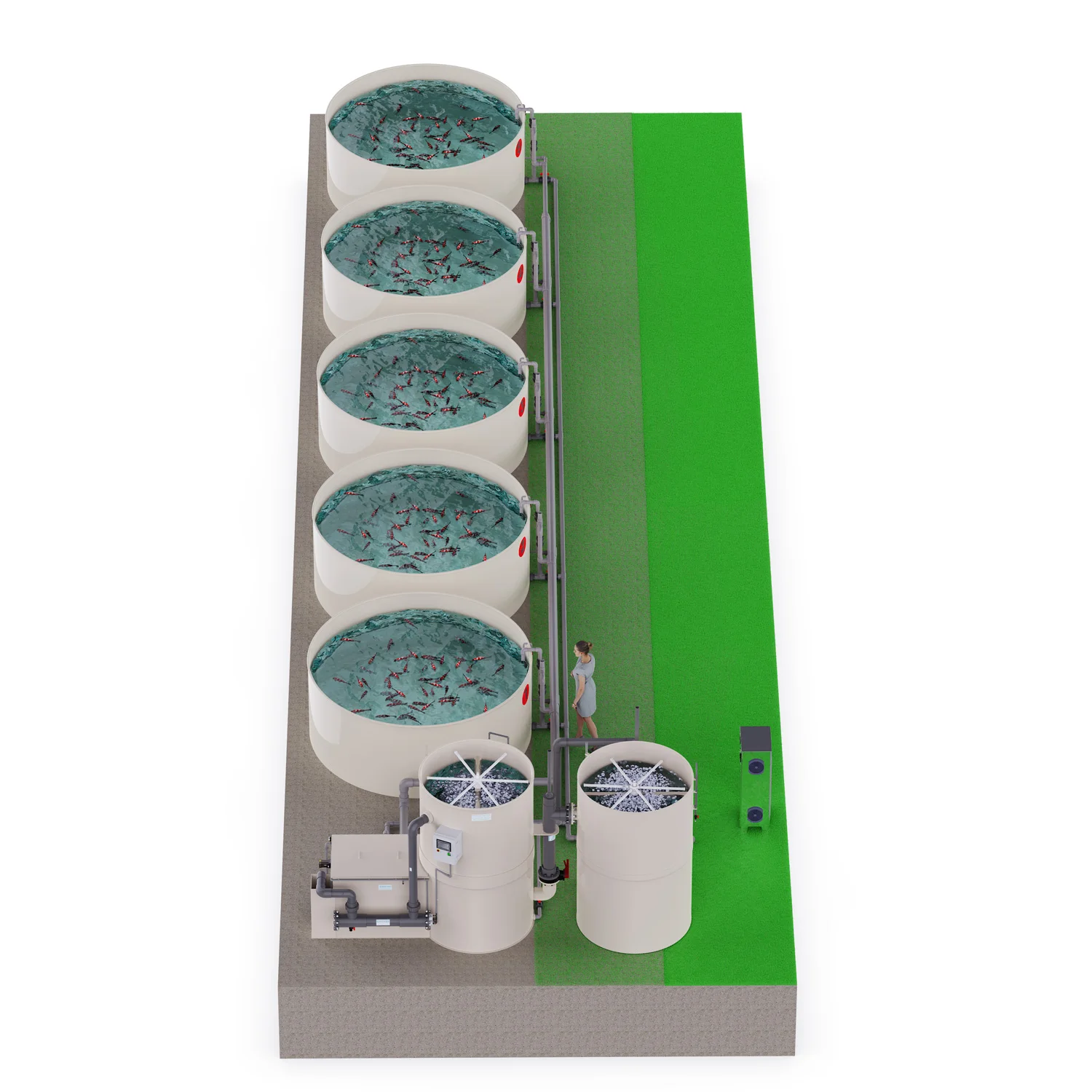 Freshwater Tilapia Hatchery Equipment Square PP Fish Pond Breeding and Incubation Kit