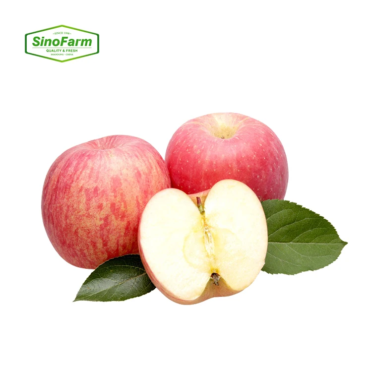 2024 New Crop Fresh Apple FUJI Pome Fruits Red Organic Sweet Apple Fruits