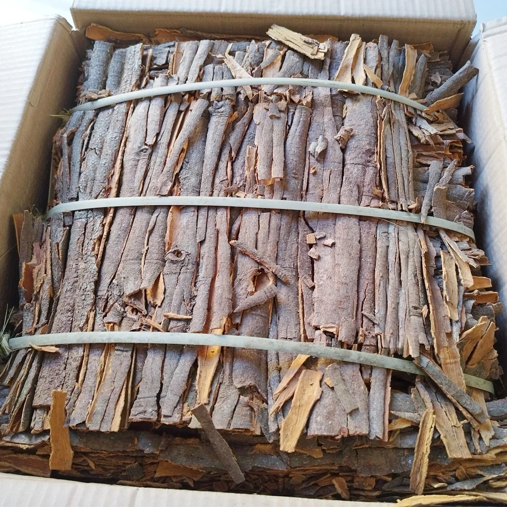 Original Supplier Wholesale Price Cassia Whole Pressed Cassia