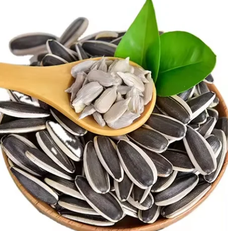 Sunflower Seeds type 361 363 601