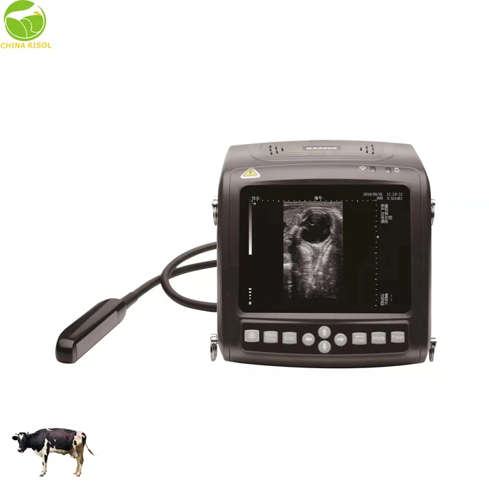 Portable Veterinary Ultrasound Scanner Device Large Animal Instrument for Cows Horses Donkeys Camels