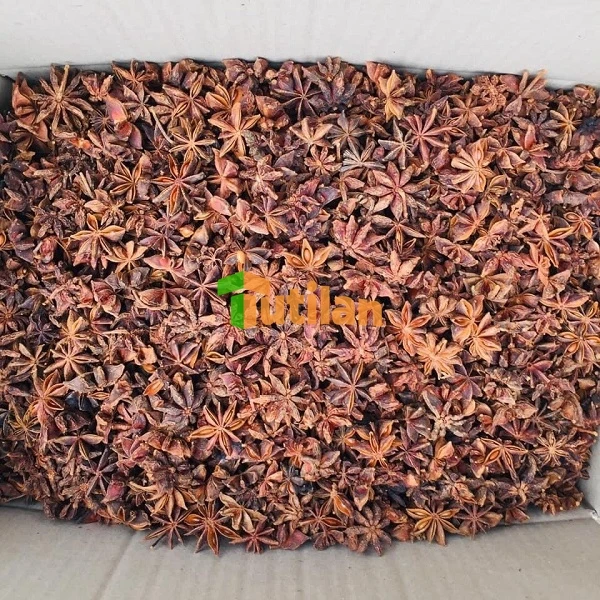 Оптовая продажа с завода самая низкая цена и лучшее качество специи приправы Звездный анис чистый Вьетнам