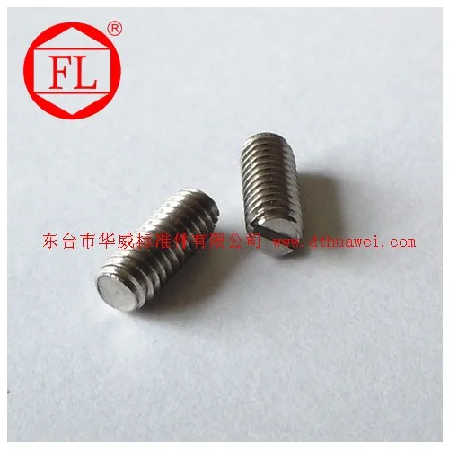 Stainless steel slotted set screw (concave end)