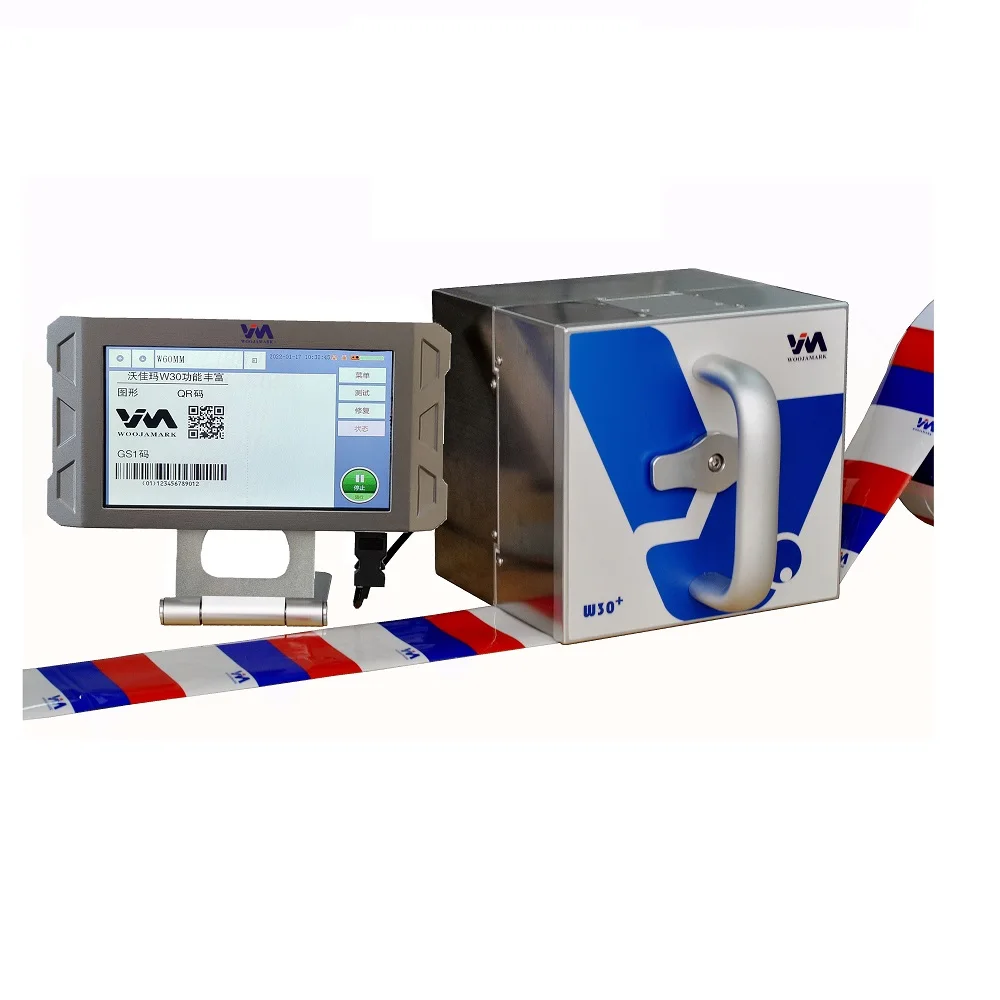 Hot Sale Intermittent Continuous Smartdate W30/W50 TTO Coder/TTO Date Printer for Flow Packing Machine