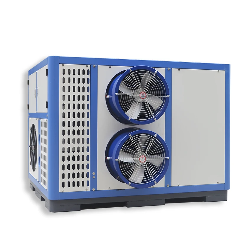 DR-6P(S) hot air dryer industrial food dehydrator for herbs drying machine or moringa leaves dryer food drying machine