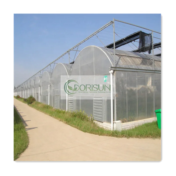 Светоотражающая сельскохозяйственная Солнцезащитная тень Etfe светорассеивающая прозрачная тепличная пленка 200 микрон пластиковая парниковая