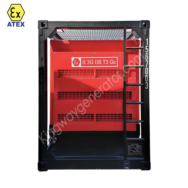 Зона 1 Atex зоны 2 взрывозащищенный 1250KVA Rig безопасный дизель-генератор с DNV2.7-1 подъемная рама для нефтяных и газовых