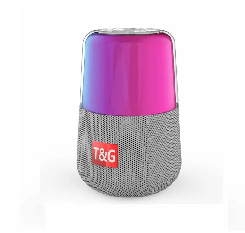 T&G radio speaker  Cheap price china factory supply  portable mini FM radio receiver with wireless USB speaker TG168