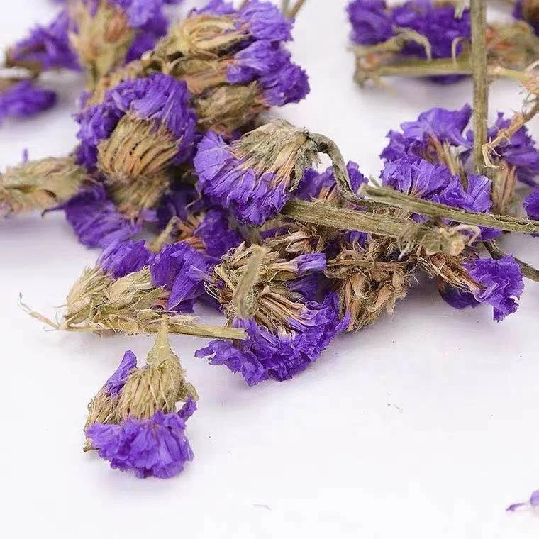 
100% Natural Dried Flowers/Herbs/Flavor Tea Forget Me Not Myosotis Sylvatica Flower Tea 