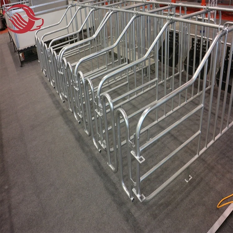Pig House Farming Equipment Galvanized Sow Gestation Cage / Gestation Pen / Gestation Crate pig barn