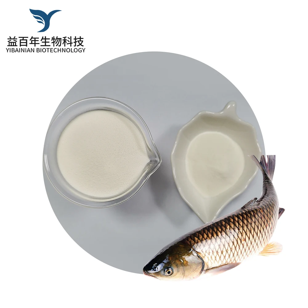 Высокое качество, уход за кожей, чистый оптовый гидролизованный рыбный коллагеновый Пептид