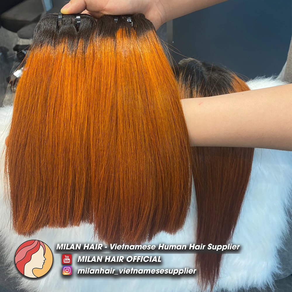 Color variety Vietnam human hair Ombre colored with Full Cuticle Aligned Hair From MILAN HAIR Vietnam