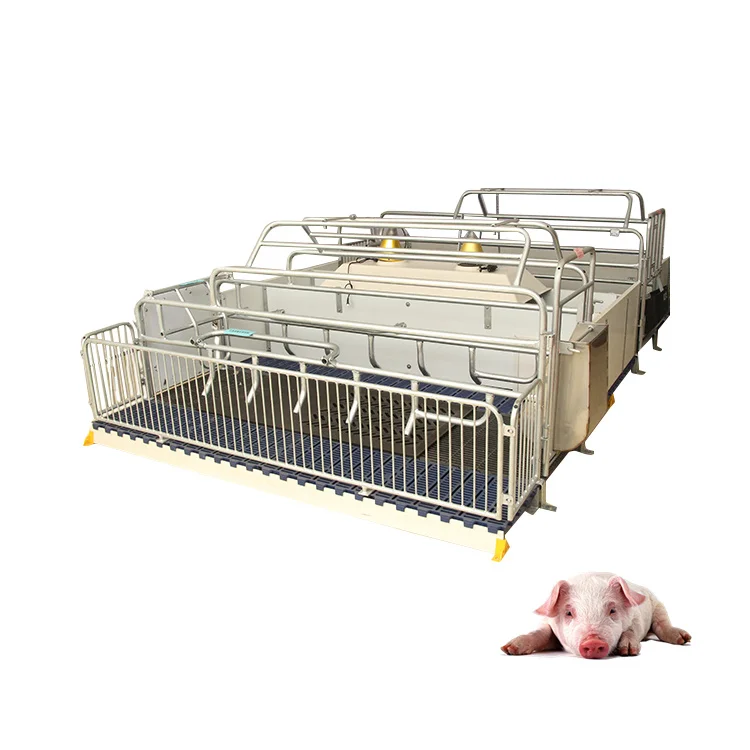 Hog Sow Cage And Nursing Crates With Feeders Galvanized Pig For Sale Pig Farm Equipment Sow Farrowing Crate Cats Iron Product