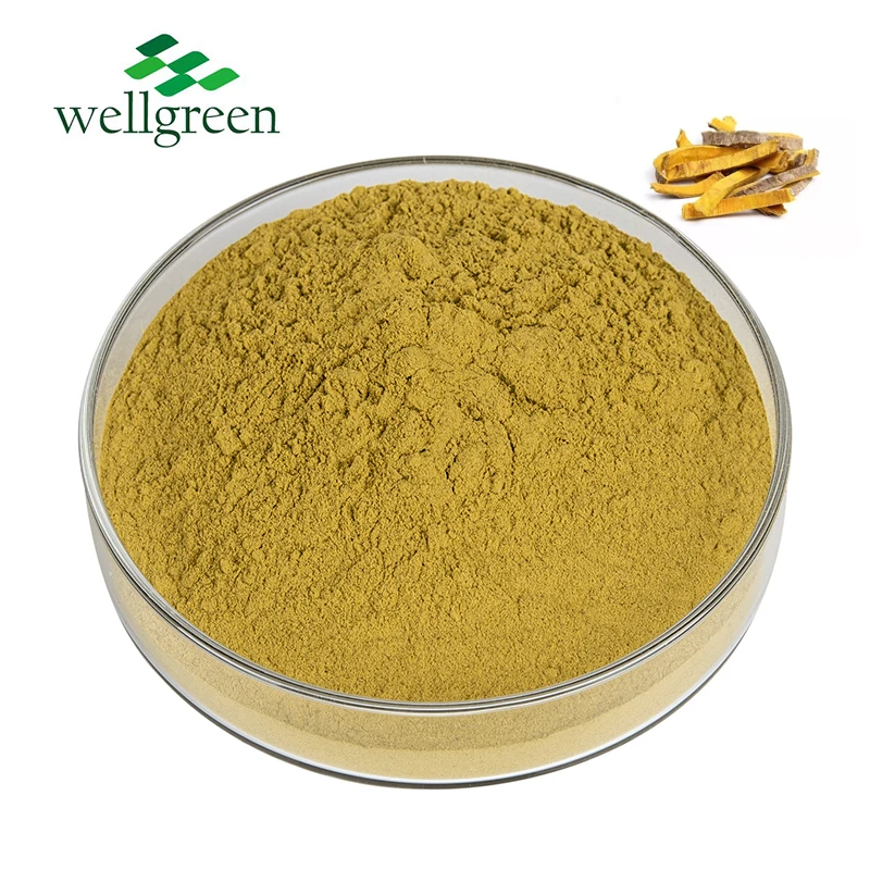Wellgreen Natural Plant Huang Bai Amurense Phellodendron Bark Extract 30% Berberine HCL