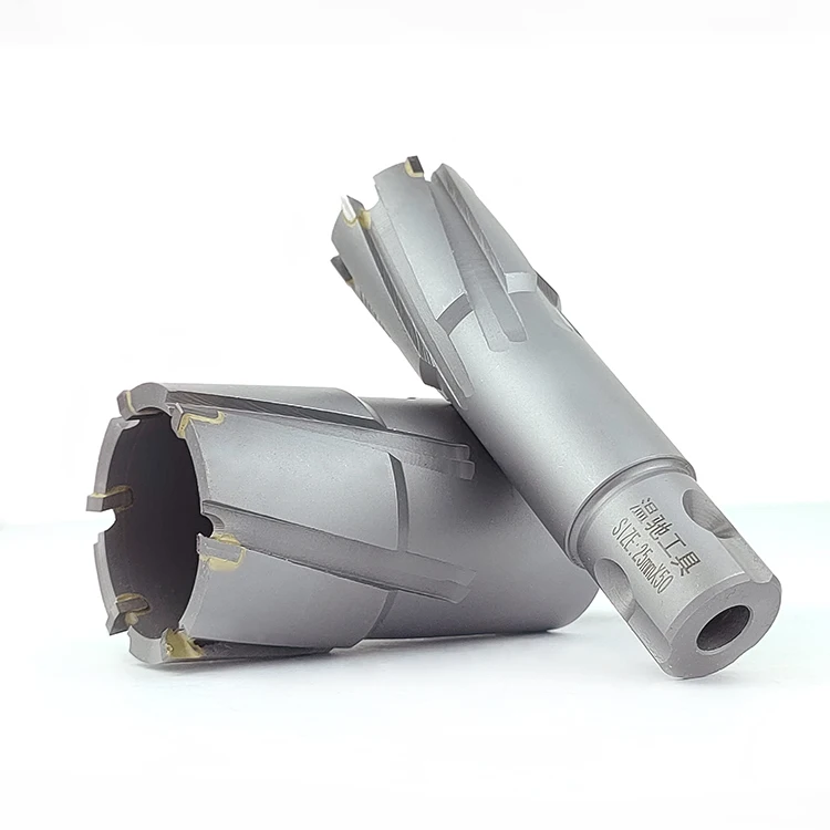 WENCHI Tools Cheap Factory Price Tct Annular Broach Cutter Hole Cutter