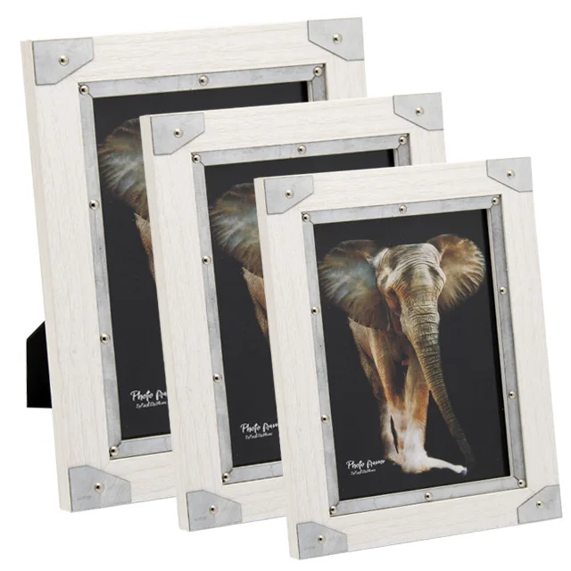 Fengyuan Picture Frame Photo Frame Aluminum Factory New Arrived Cool Animal Digital Printing For 5*7 A4 Inch 4 Color Black