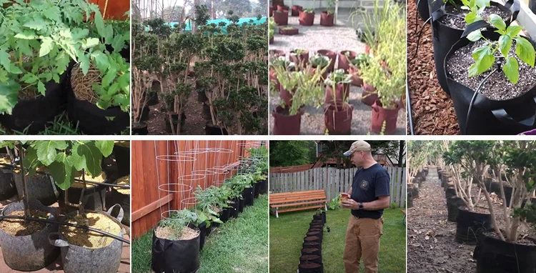 1-400 Gallon Nonwoven Fabric Wholesale Grow Bags 1 2 3 5 7 10 Gallon Grow Bag Sale