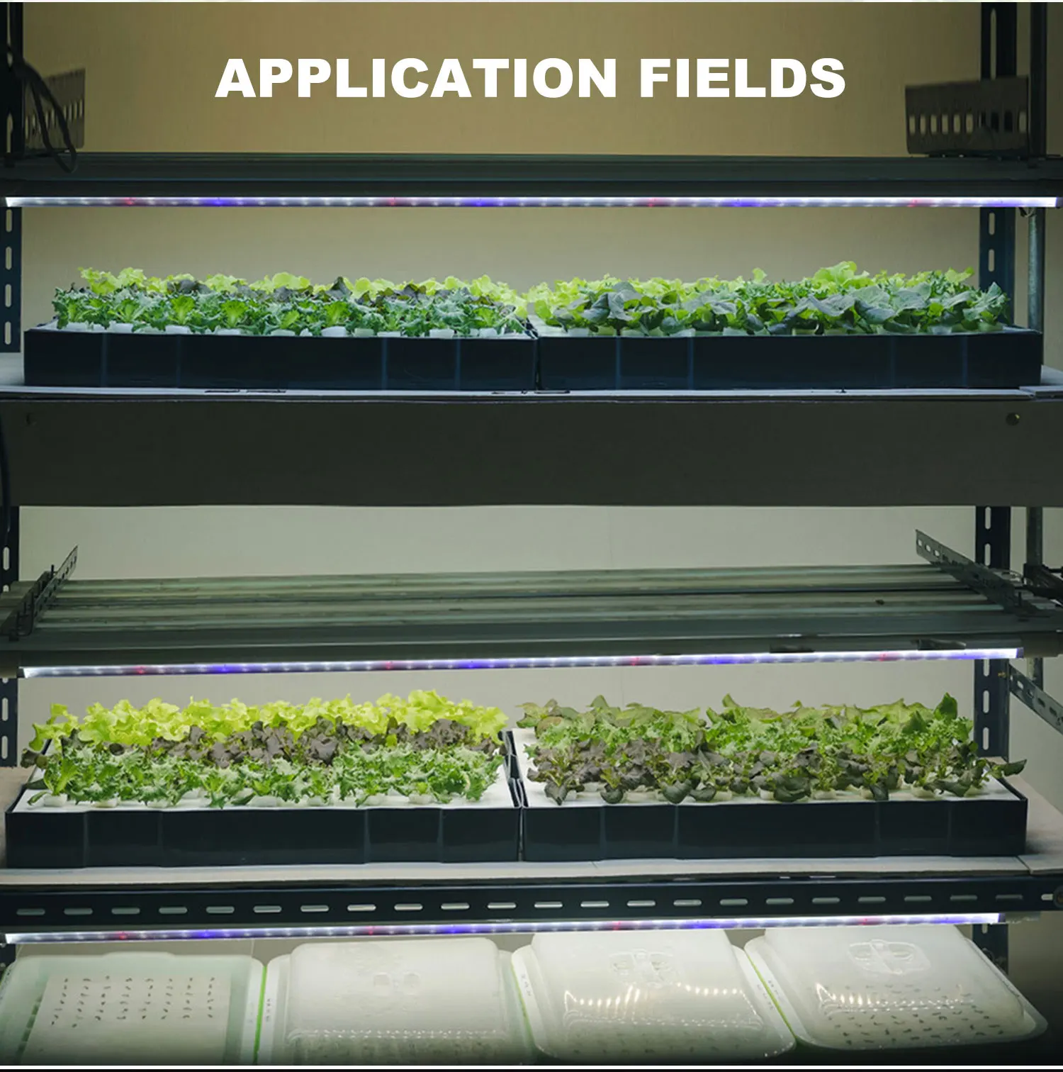 Microgreen vertical farming waterproof 24w red blue white spectrum 9000k t8 plant growth light for indoor plants