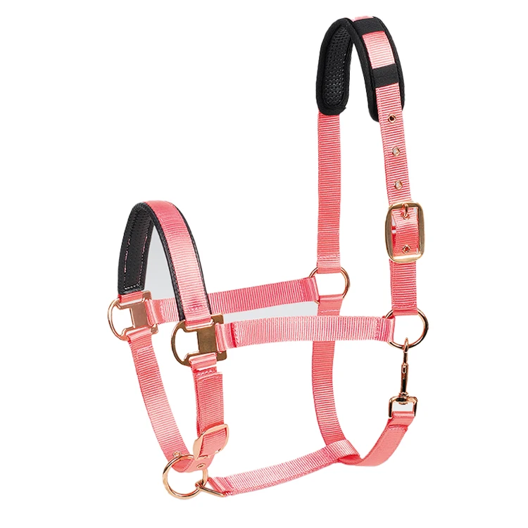 Wholesale Equine Products Horse Halter Custom Made Hardware Buckle Fitting Equestrian Leather Horse Halter