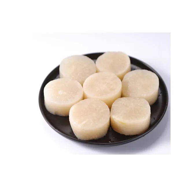 obento radish daikon