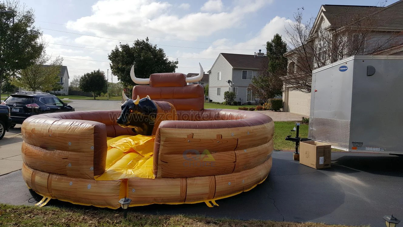 rodeo bull game-2.jpg