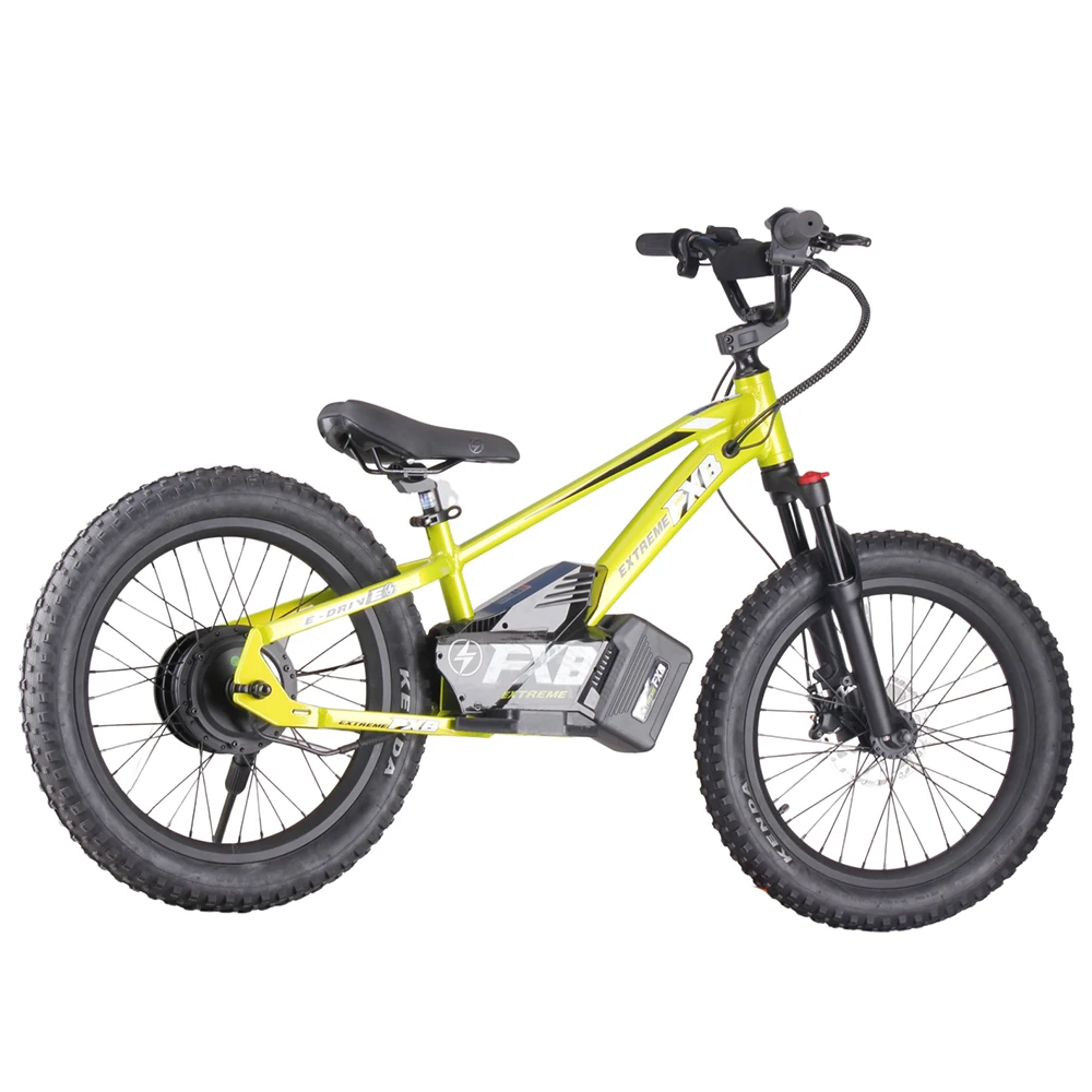 20inch stand bikes with CE children electric bike balance bike with 800W motor spoke rim