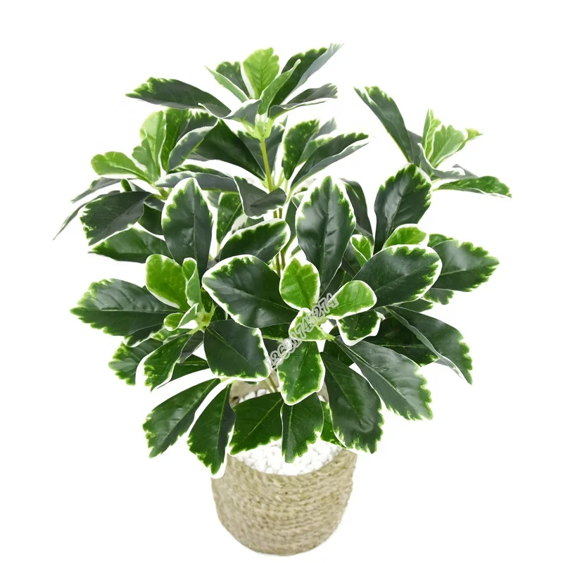 Специальное предложение пластиковый Шелковый цветок polyscias fruticosa искусственные растения листья для украшения