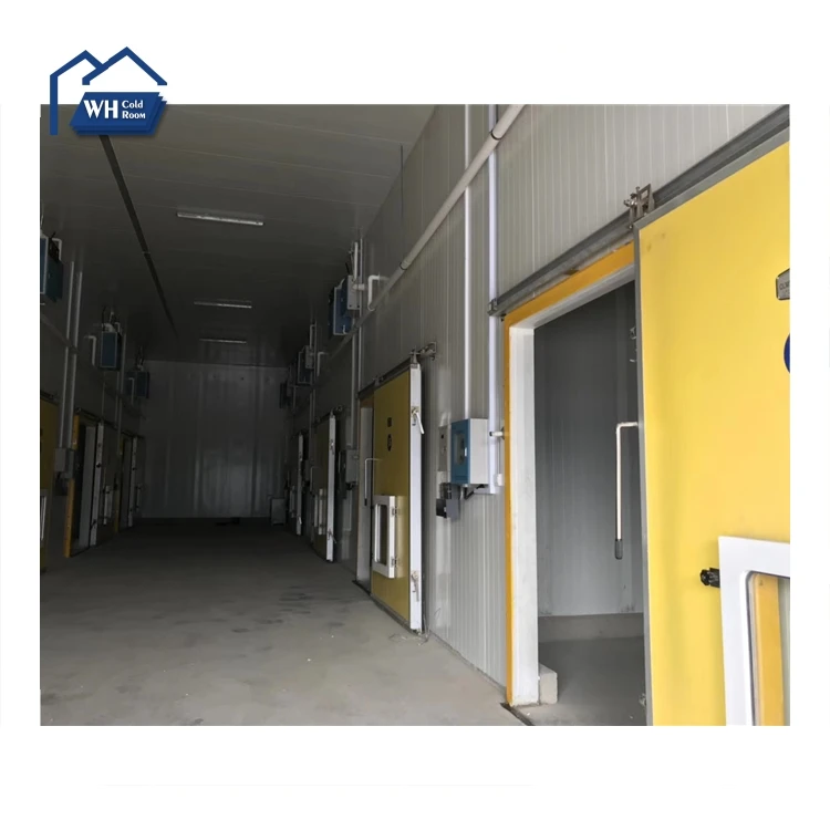 2024 Most popular EPS wall panel decorative insulated foam sandwich panels to replace xps sandwich panel for cool room