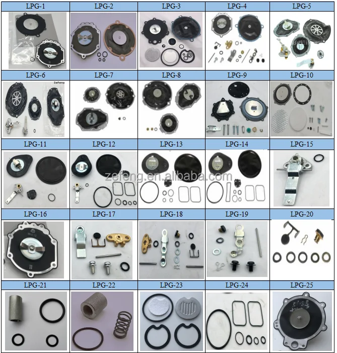 LPG repair kits