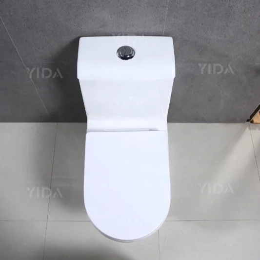  WC керамическая удлиненный сноса один