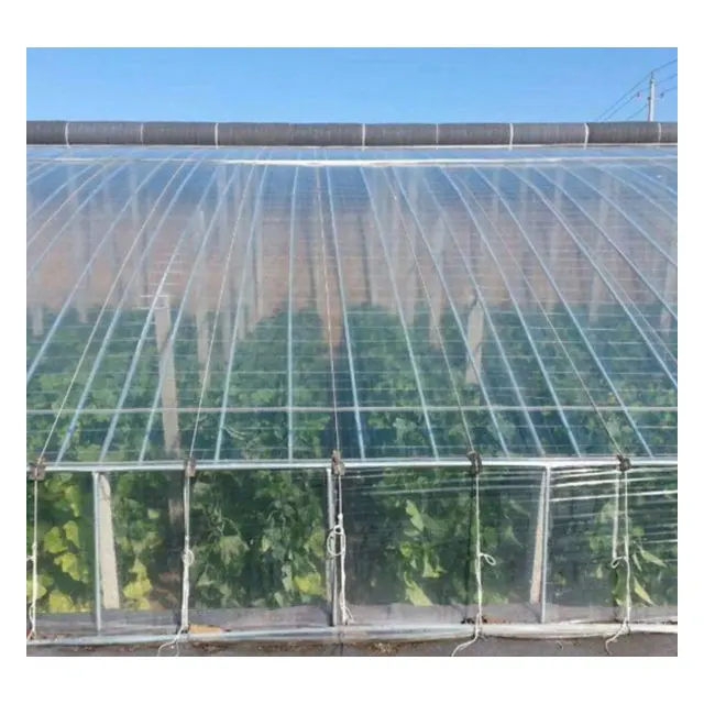 Anti-UV 200 micron  plastic LDPE greenhouse cover for agriculture