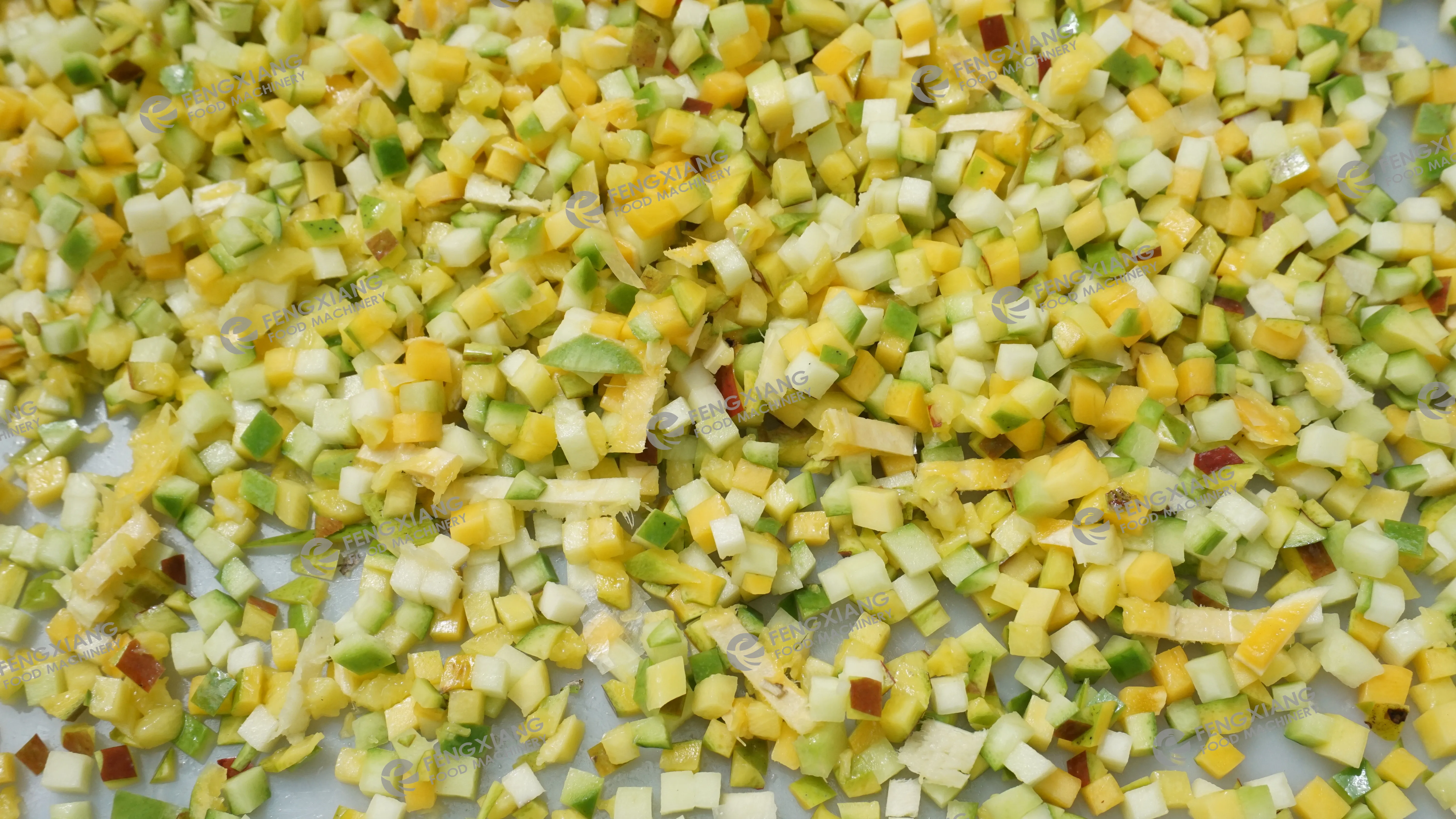 CD-1500 Vegetable Dicing Machine Mango Cutting to Strips Machine