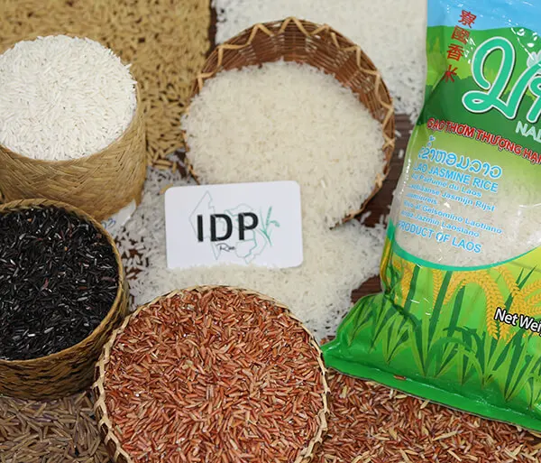 Pure natural nutrition nutritious food-grade medium-grain white rice organic glutinous rice sweet and soft glutinous