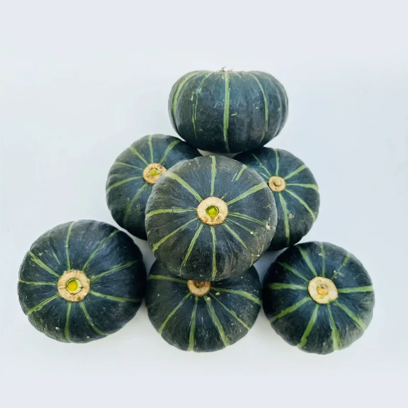 High Quality Cheap Freshly Picked Pumpkin Lot With Quick Preservation Methods