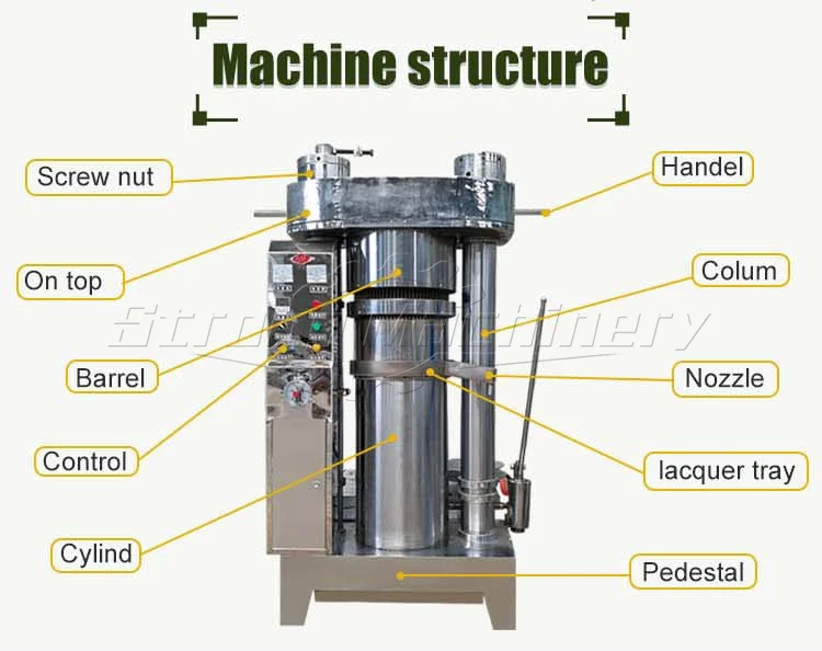 Small Automatic Hydraulic Cold Avocado Palm Sesame Oil Extractor Pressing Olive oil Press Machine